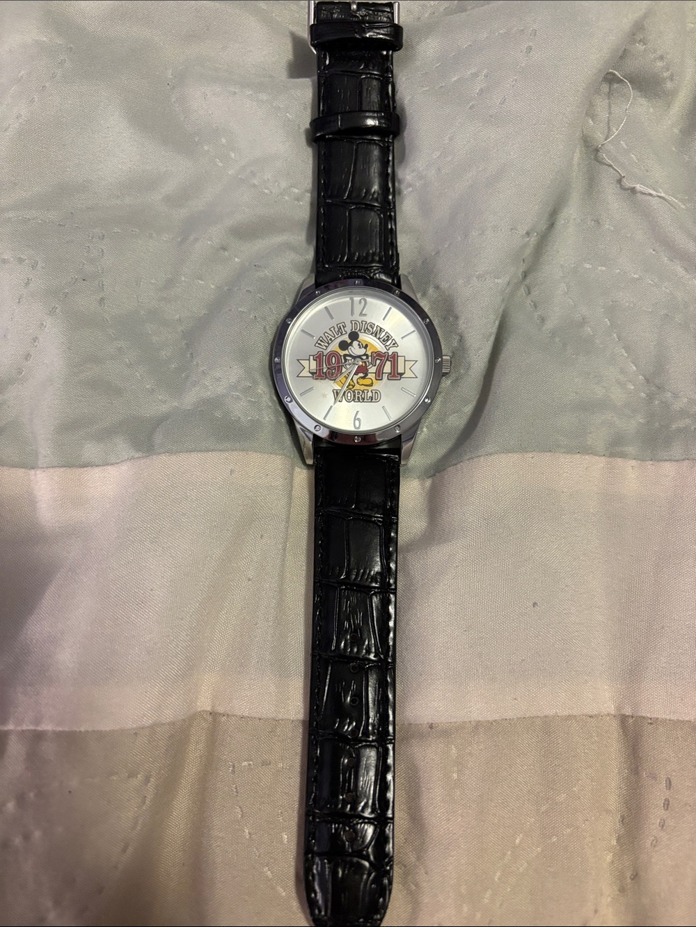 Walt Disney World Men’s Watch